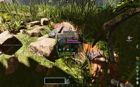 ark starve taming|ark survival ascended taming speed.